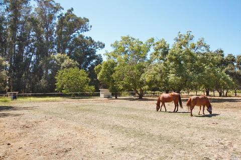 21855 Hyde Rd, Sonoma, CA 95476 photo 44
