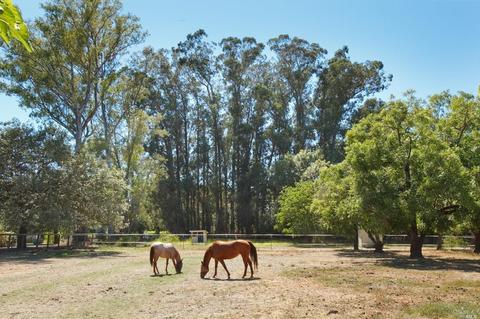 21855 Hyde Rd, Sonoma, CA 95476 photo 45