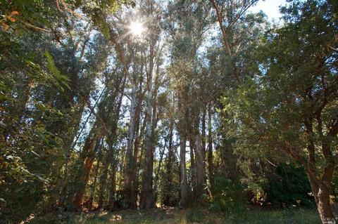 21855 Hyde Rd, Sonoma, CA 95476 photo 47