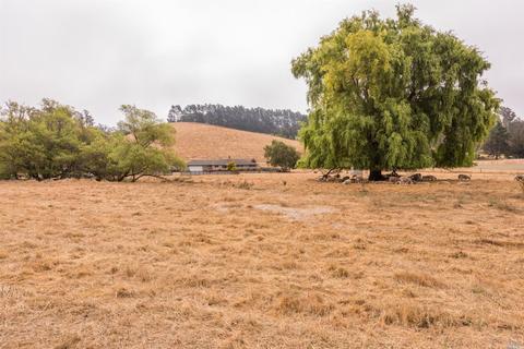 1364 Valley Ford Freestone Rd, Valley Ford, CA 94972 photo 29