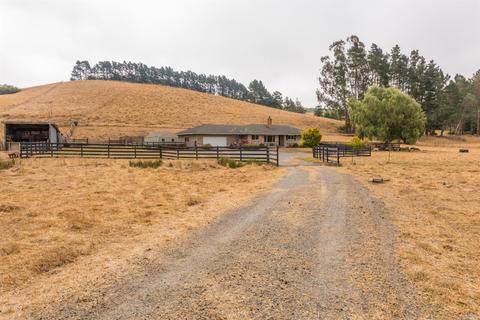 1364 Valley Ford Freestone Rd, Valley Ford, CA 94972 photo 13