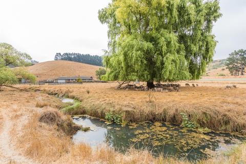 1364 Valley Ford Freestone Rd, Valley Ford, CA 94972 photo 28