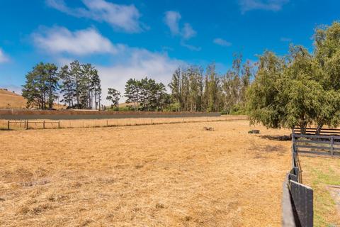 1364 Valley Ford Freestone Rd, Valley Ford, CA 94972 photo 10
