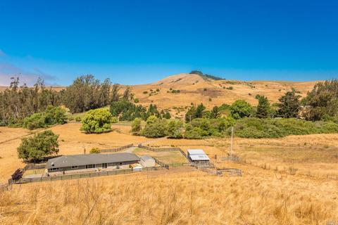 1364 Valley Ford Freestone Rd, Valley Ford, CA 94972 photo 5
