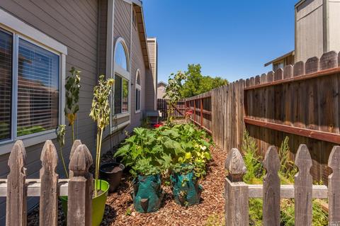 1445 Taylor Ln, Dixon, CA 95620 photo 30