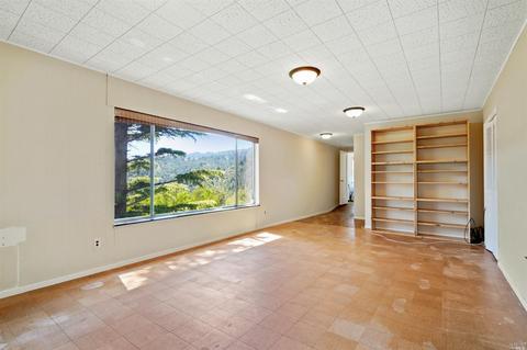 149 Myrtle Ave, Mill Valley, CA 94941 photo 25