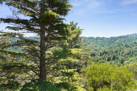 149 Myrtle Ave, Mill Valley, CA 94941 photo 8