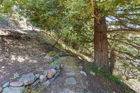 149 Myrtle Ave, Mill Valley, CA 94941 photo 5