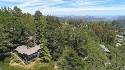 149 Myrtle Ave, Mill Valley, CA 94941 photo 34