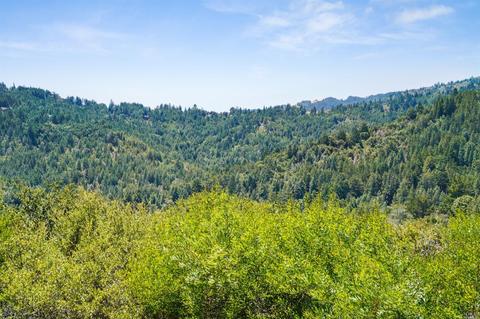 149 Myrtle Ave, Mill Valley, CA 94941 photo 7