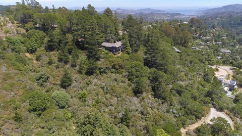 149 Myrtle Ave, Mill Valley, CA 94941 photo 36