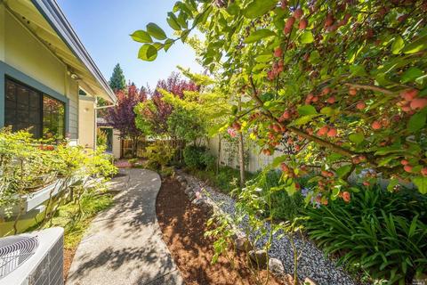 157 S Temelec Cir, Sonoma, CA 95476 photo 26