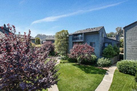 108 Cypress Pl, Sausalito, CA 94965 photo 24