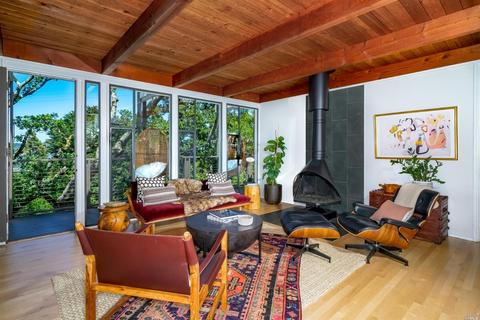 118 Harvard Ave, Mill Valley, CA 94941 photo 36
