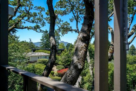 118 Harvard Ave, Mill Valley, CA 94941 photo 34