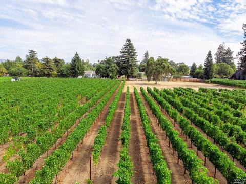 1032 Bella Dr, Napa, CA 94558 photo 49