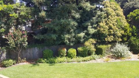 3760 Cano Ct, Napa, CA 94558 photo 7
