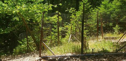 26901 Ridge Rd, Willits, CA 95490 photo 28