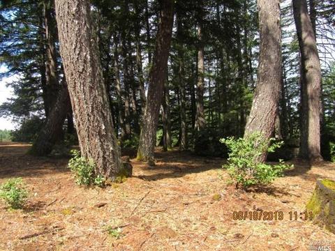 4350 Blackhawk Dr, Willits, CA 95490 photo 25