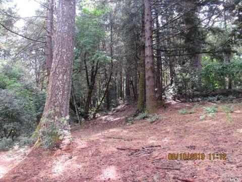 4350 Blackhawk Dr, Willits, CA 95490 photo 26