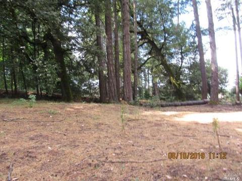 4350 Blackhawk Dr, Willits, CA 95490 photo 27