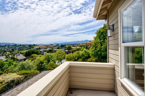 8 Turtle Rock Ct, Tiburon, CA 94920 photo 28