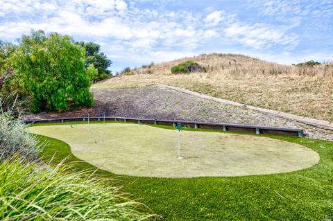 8 Turtle Rock Ct, Tiburon, CA 94920 photo 43