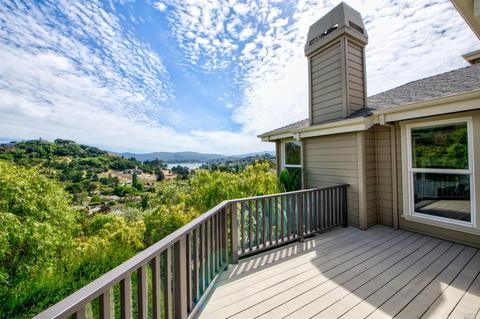 8 Turtle Rock Ct, Tiburon, CA 94920 photo 41