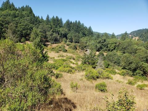 1361 Buckhorn Rd, Willits, CA 95490 photo 3