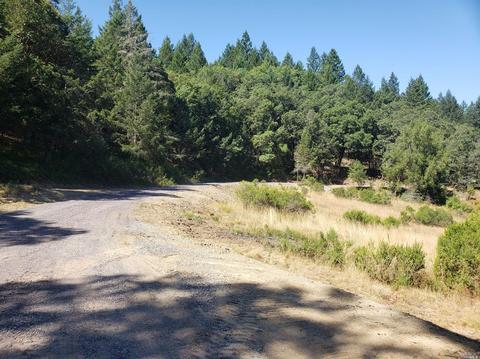 1361 Buckhorn Rd, Willits, CA 95490 photo 5