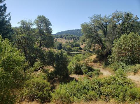 1361 Buckhorn Rd, Willits, CA 95490 photo 9