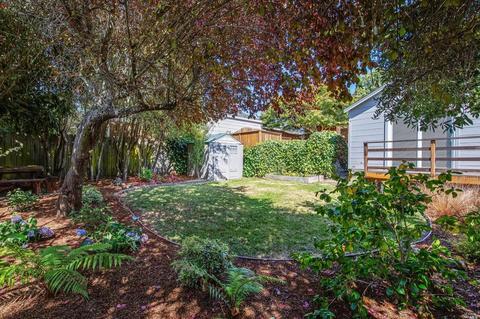 95 Nelson Ave, Mill Valley, CA 94941 photo 30
