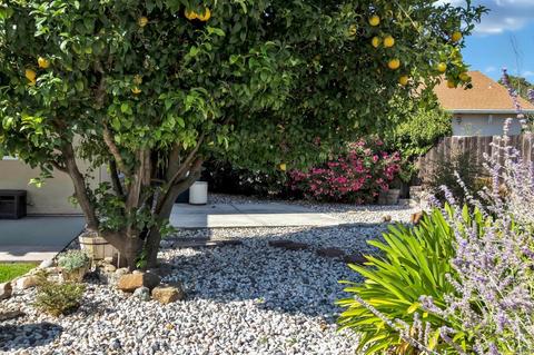105 Bluebird Ct, Vallejo, CA 94591 photo 41