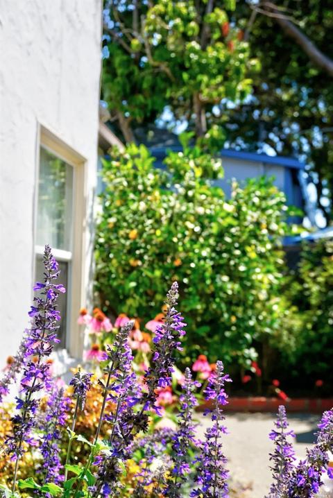 Undisclosed, Vallejo, CA 94590 photo 42