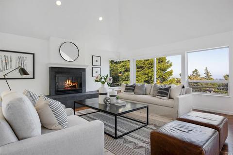 10 Walsh Dr, Mill Valley, CA 94941 photo 3