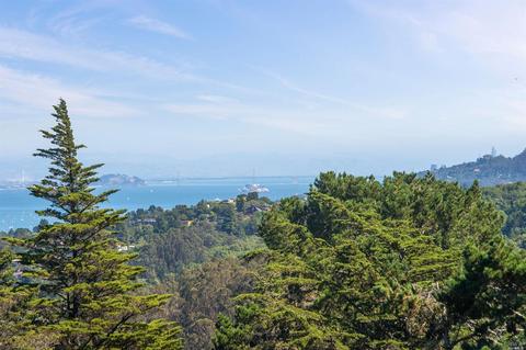 10 Walsh Dr, Mill Valley, CA 94941 photo 33