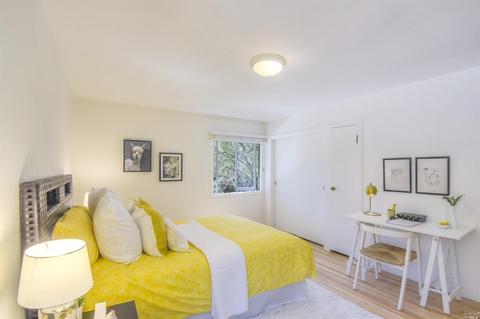 45 Thalia St, Mill Valley, CA 94941 photo 20
