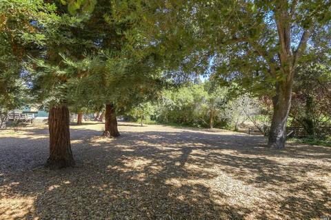 45 Thalia St, Mill Valley, CA 94941 photo 44