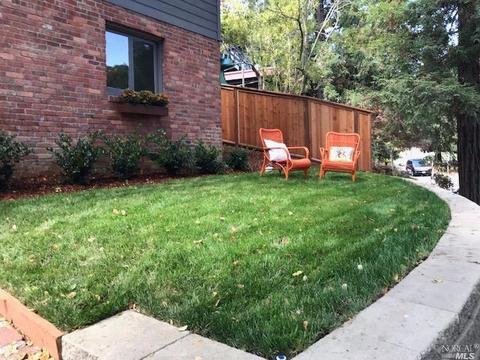 45 Thalia St, Mill Valley, CA 94941 photo 37