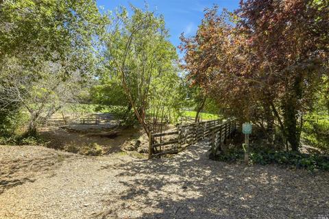 45 Thalia St, Mill Valley, CA 94941 photo 43