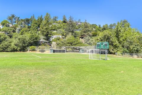 45 Thalia St, Mill Valley, CA 94941 photo 42