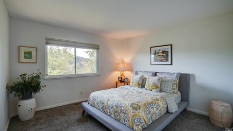 331 Durant Way, Mill Valley, CA 94941 photo 36