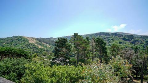 331 Durant Way, Mill Valley, CA 94941 photo 48