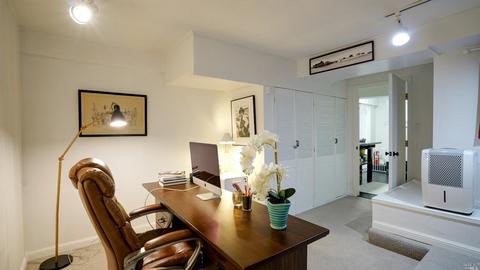 331 Durant Way, Mill Valley, CA 94941 photo 42