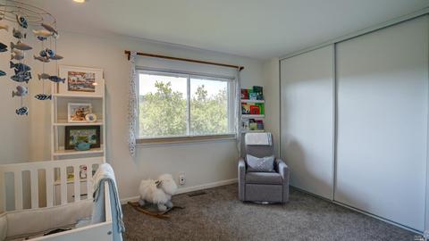 331 Durant Way, Mill Valley, CA 94941 photo 34