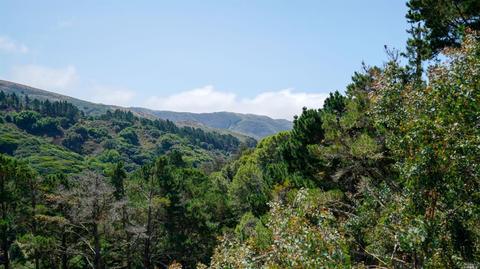 331 Durant Way, Mill Valley, CA 94941 photo 49