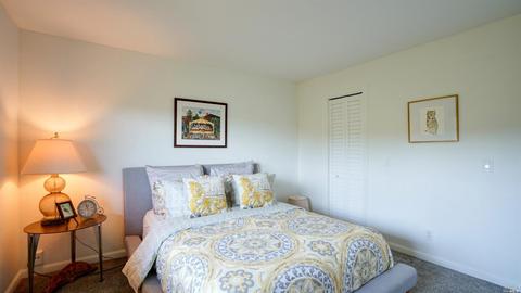 331 Durant Way, Mill Valley, CA 94941 photo 37