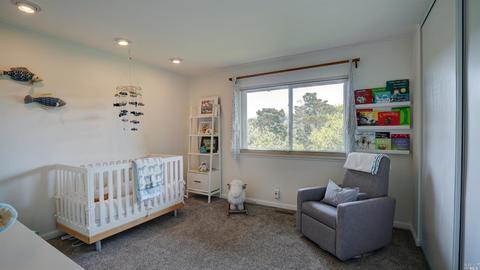 331 Durant Way, Mill Valley, CA 94941 photo 35