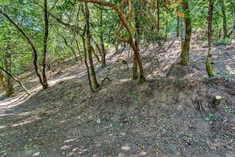 2016 Riverview Dr, Healdsburg, CA 95448 photo 5