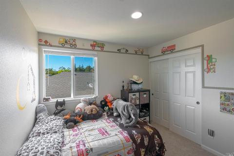 1296 Pedroncelli Dr, Windsor, CA 95492 photo 22